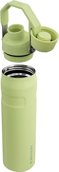 Actual product image Stanley 1913 Aerolight IceFlow Wasserflasche (0.60 l)