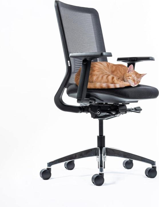 Produktbild Yaasa Chair Classic