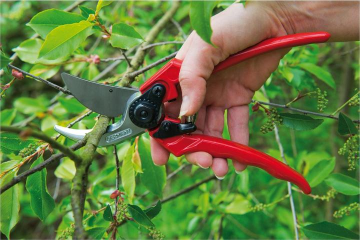 Image du produit Berger Ciseaux à main 215 mm Classic, Bypass