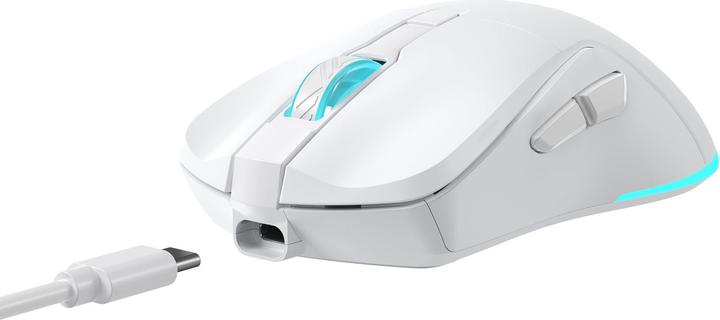 Produktbild Baracuda BGM-122 Schildkröte Weiss (Kabellos)
