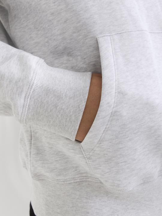 Actual product image Jack & Jones Jcounion Print Sweat Hood Noos (XS)