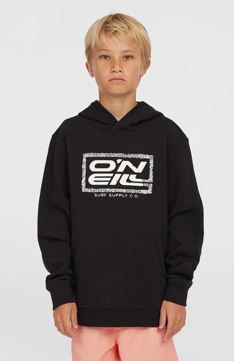 Immagine prodotto O'Neill Logo Hoodie (152)