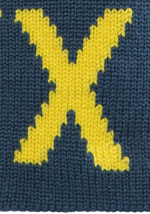 Image du produit Arc'teryx Tête de mot Toque longue