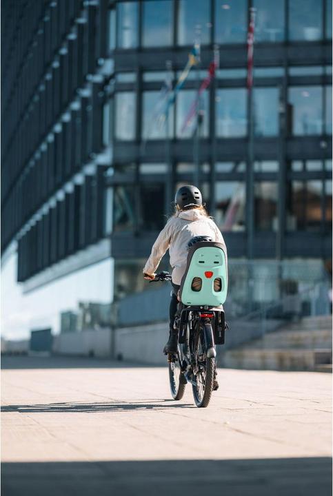 Immagine prodotto Thule Seggiolino per bambini Yepp Nexxt 2 Maxi (GT) (Portapacchi)