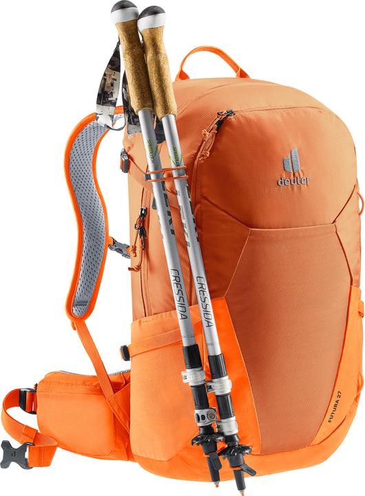 Actual product image Deuter Futura 27 (27 l)