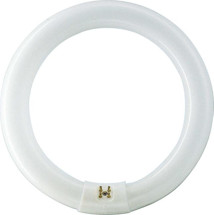 Immagine prodotto Philips Master TL-E circolare (G10q, 22 W, 1250 lm, 1 x, B)