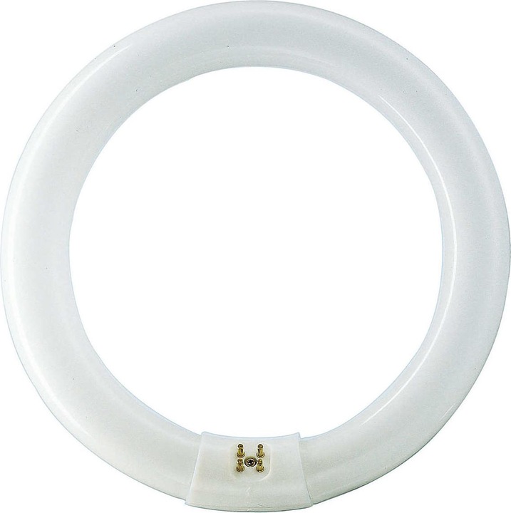 Immagine prodotto Philips Master TL-E circolare (G10q, 22 W, 1250 lm, 1 x, B)
