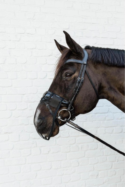 Actual product image Kentucky Horsewear Nose net