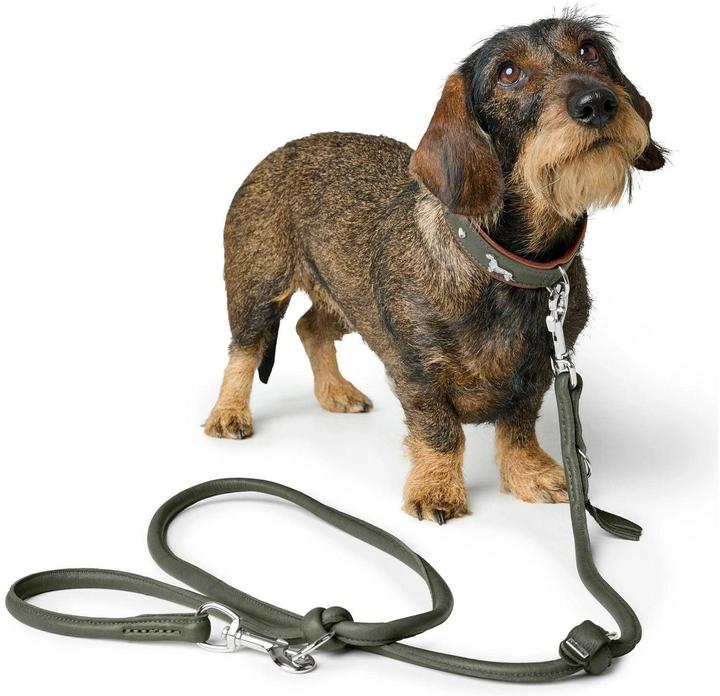 Immagine prodotto Hunter Collare bassotto Monaco 42/S, pelle di vacchetta, verde/cognac (42, Cane, Generale)