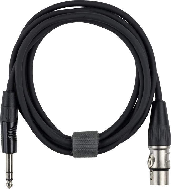 Image du produit Fuj Tek 6.3 mm TRS male to XLR female signal cable, 5 m, black (5 m, Câbles XLR)