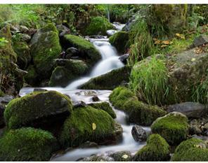 Produktbild Tiffen 72MM NEUTRAL DENSITY 1.2 (72 mm)