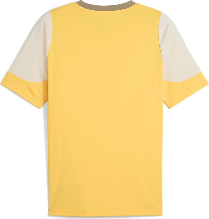 Produktbild Puma ACM Training Jersey (3XL)