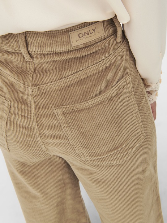 Actual product image Only Corduroy pants (46)