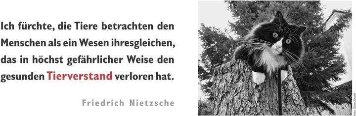 Immagine prodotto L'agenda settimanale del gatto letterario 2025 (1 giorno / 1 pagina)