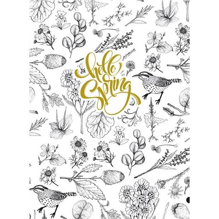 Fresh, Quaderno + Bloc notes, Dekoratives Notizbuch 145x197/64K Raster TW Birds