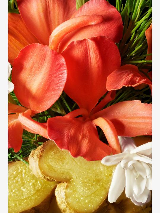 Produktbild Molton Brown Heavenly Gingerlily Bath & Shower Gel (300 ml)