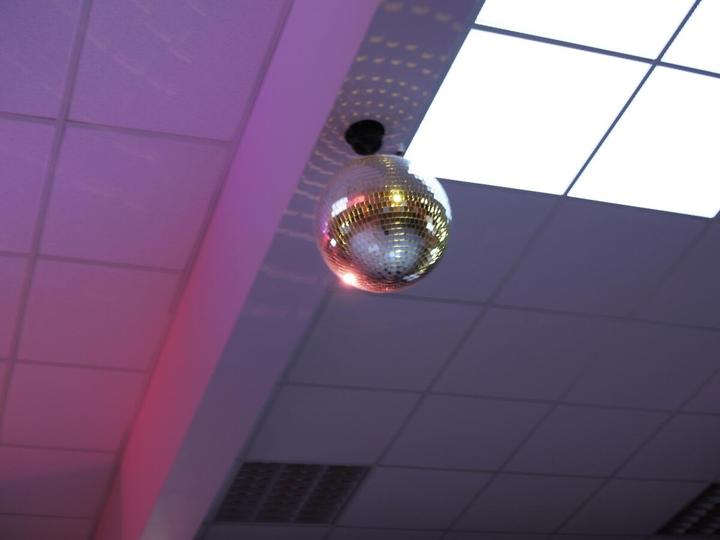 Image du produit Eurolite Boule à facettes avec moteur MD-1515 (30 cm)