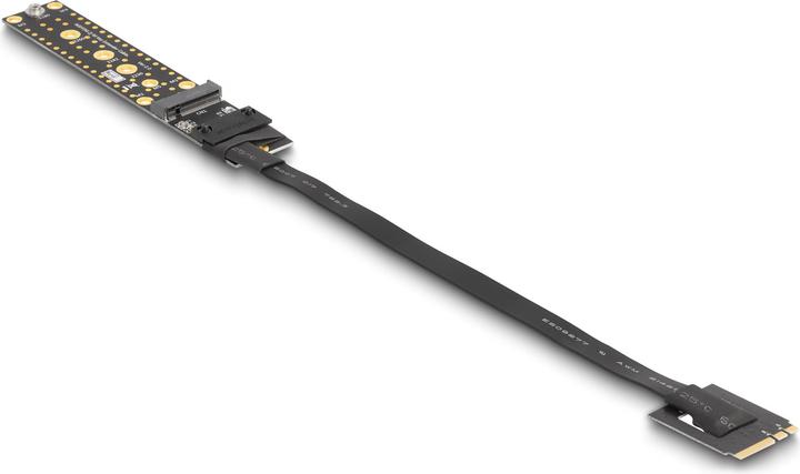 Productafbeelding Delock Riser kaart NVMe M.2 Key A+E plug naar Key M slot met 20 cm kabel