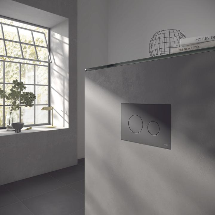 Actual product image Magni Toilet push plate TECEloop white, plastic, for 2-flush technology