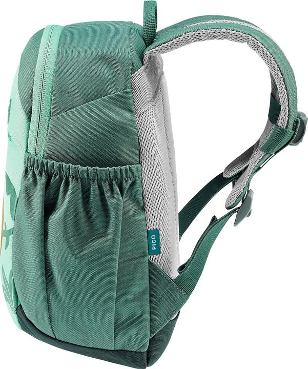 Actual product image Deuter Pico (5 l)