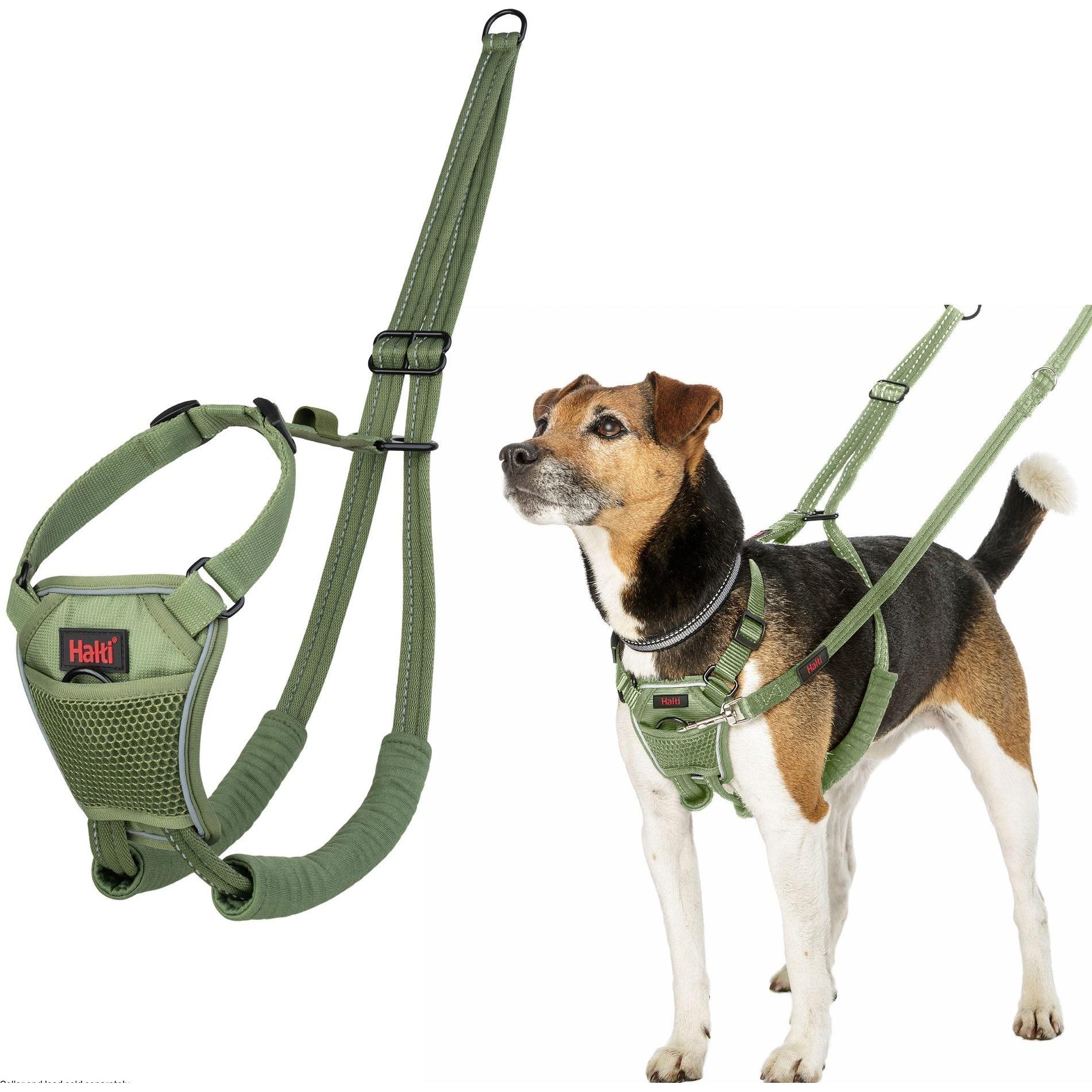 Halti Verde No Pull Harness Forest Green Small (Cane, Generale, Passeggiare), Collare + Guinzaglio