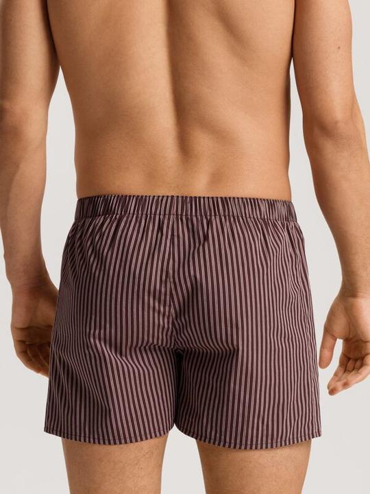 Image du produit Hanro Caleçon Fancy Woven (L)