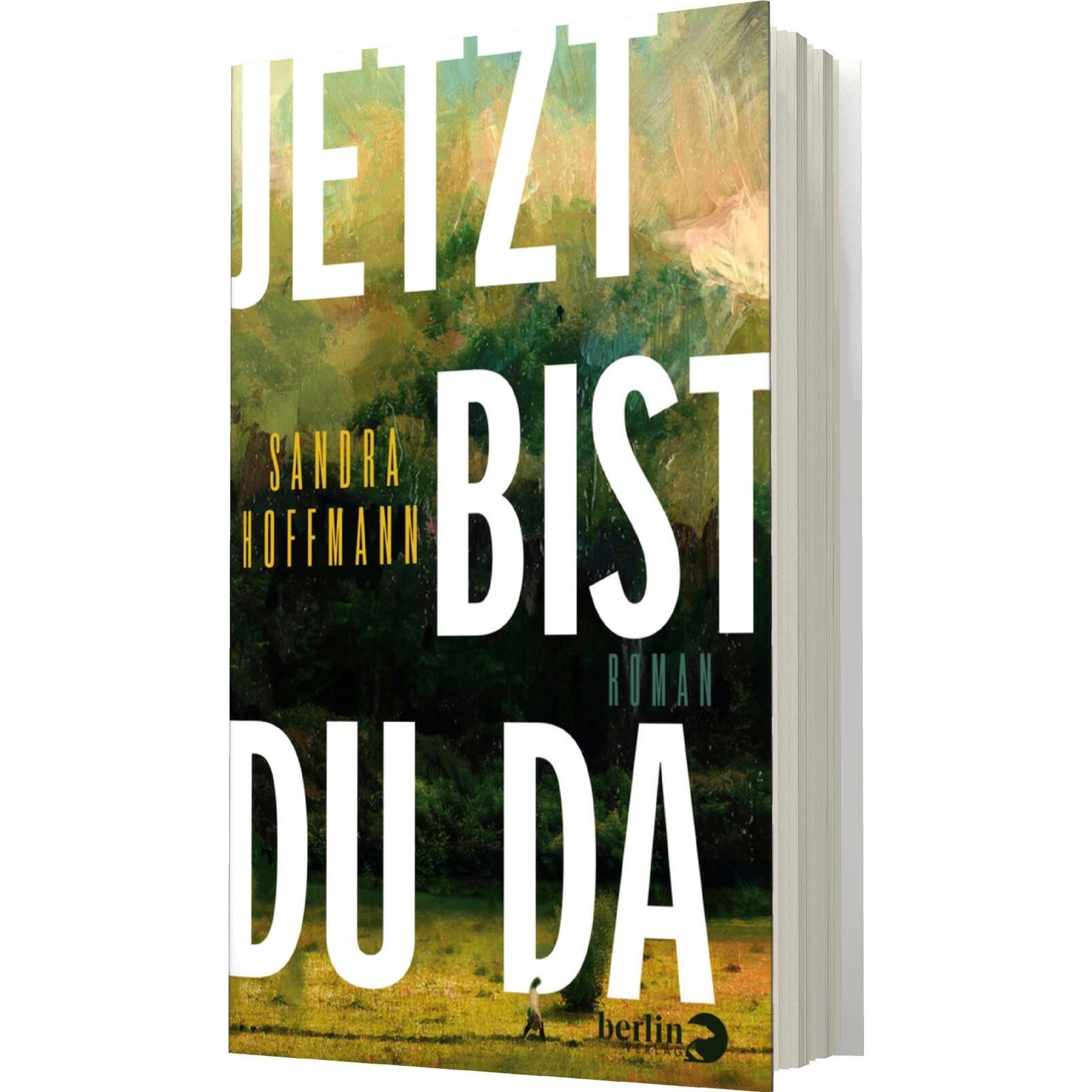 Jetzt bist du da, Belletristik von Sandra Hoffmann