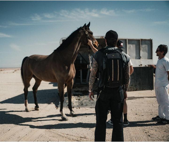 Actual product image PolarPro Fotorucksack RoadRunner 16 l (16 l)