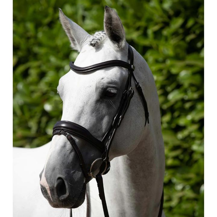 Produktbild Premier Equine Zaum Rizzo anatomisch