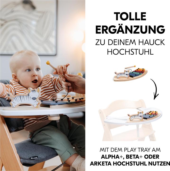 Produktbild Hauck Play Music Zebra (Deutsch)