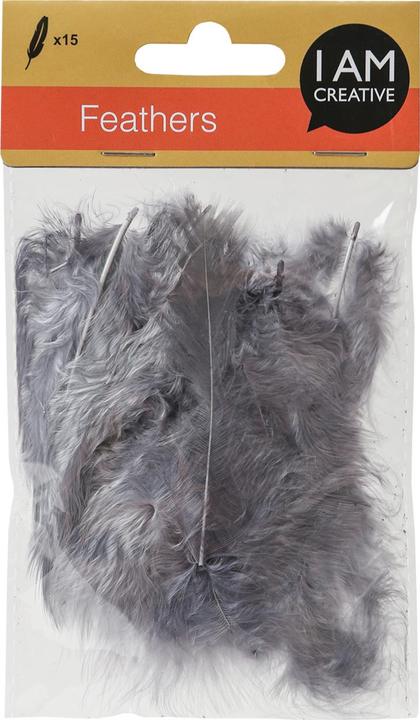 Actual product image I Am Creative Decorative feathers