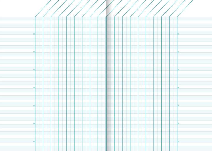 Actual product image Clairefontaine School grade book (A5, Lined, Hardcover)