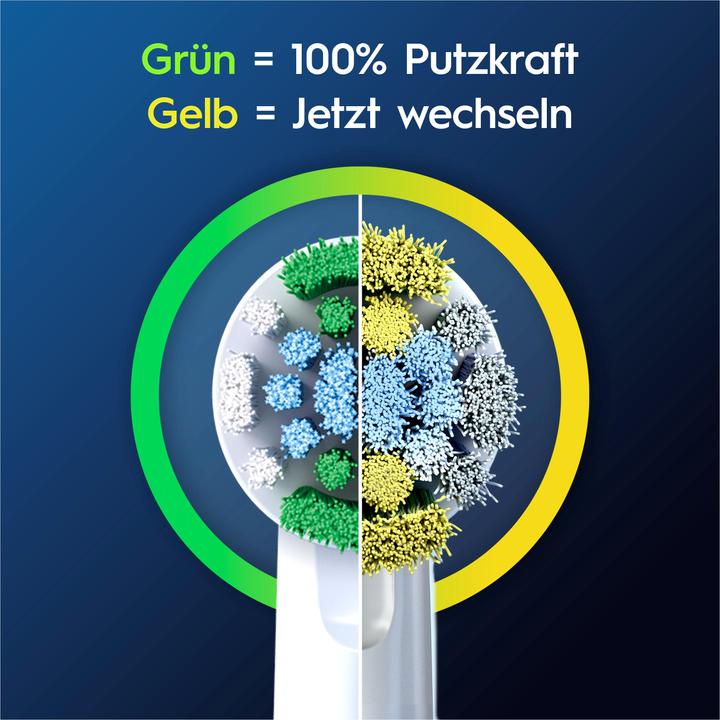 Image du produit Oral-B Pro Precision Clean (6 x)