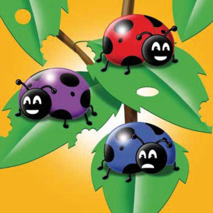 Actual product image Brainbox Brain Box- Wild animals (German)