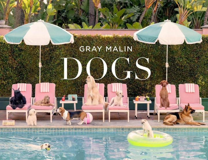Abrams & Chronicle Gray Malin: Dogs (Englisch, Gray Malin, 2024)