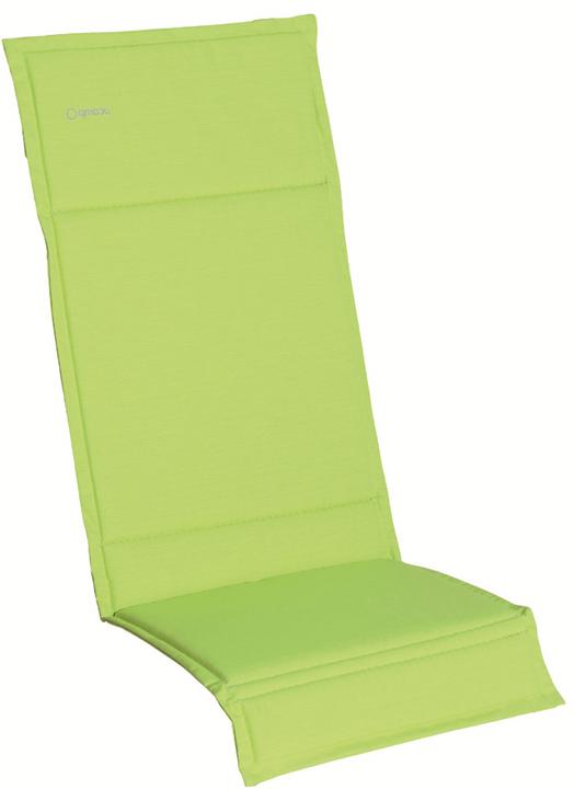Actual product image Acamp Support rollup high