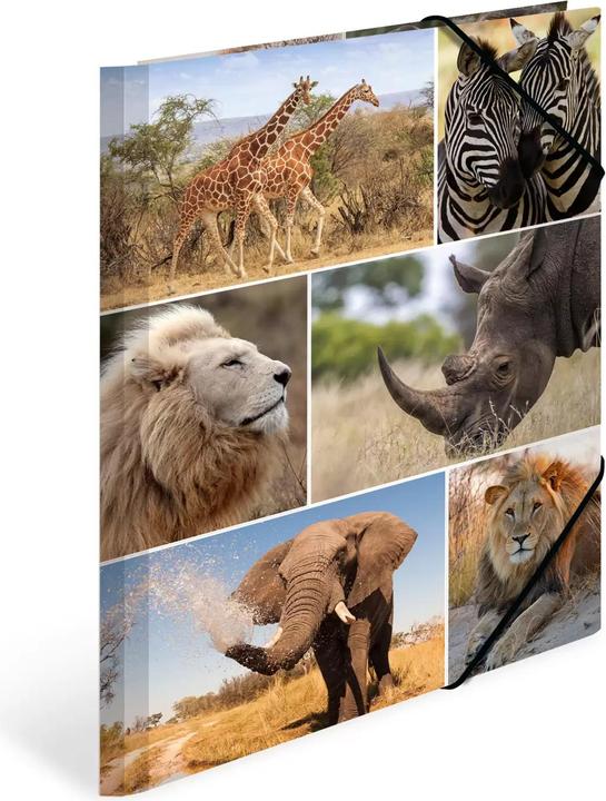 Produktbild HERMA Sammelmappe A4 Motiv (A4, 1x)