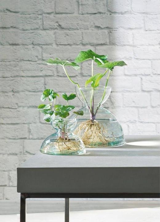 Image du produit LSA Canopy Vase H9.5cm - recy. Optik (1 x)