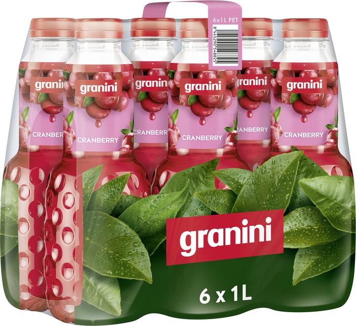 Granini Mirtillo rosso PE (6 x 100 cl)