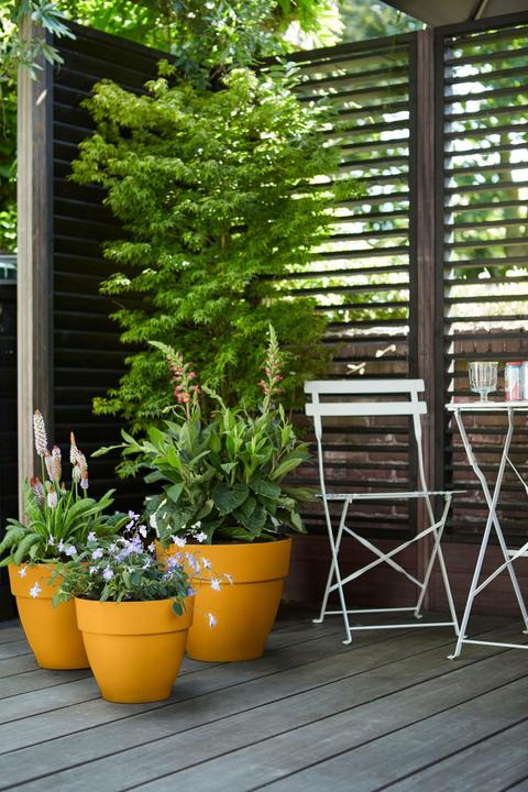 Produktbild Elho Vibia Campana (20 x 17 cm)