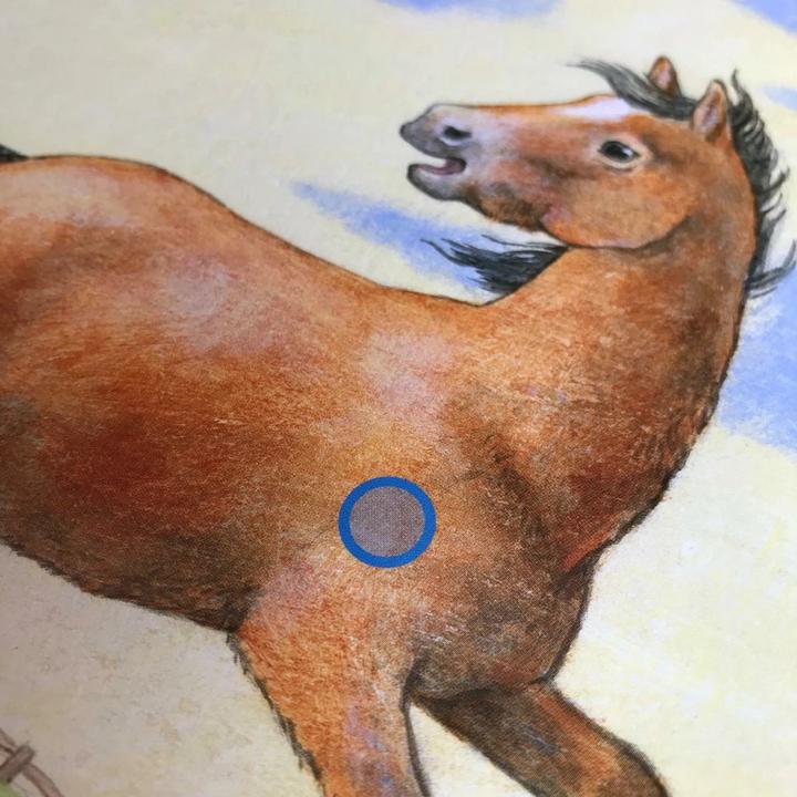 Productafbeelding Luisteren (geluidenboek): De boerderij (Anne Möller, Duits)