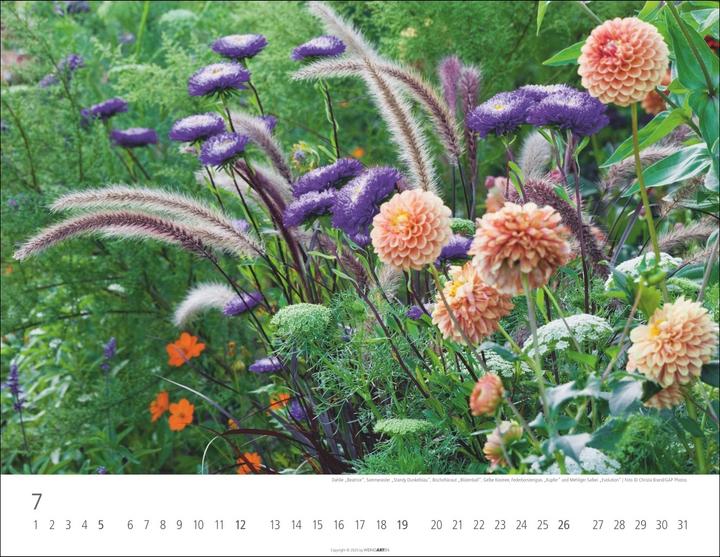 Produktbild Gräser Kalender 2026 (44 x 34 cm)