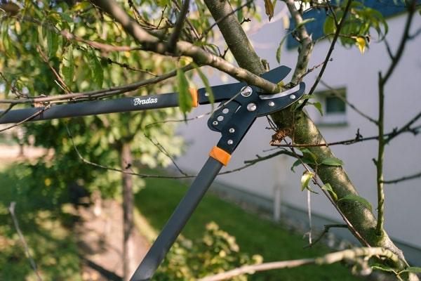 Immagine prodotto Bradas Cesoie per rami con cambio V-SERIES Lama a incudine