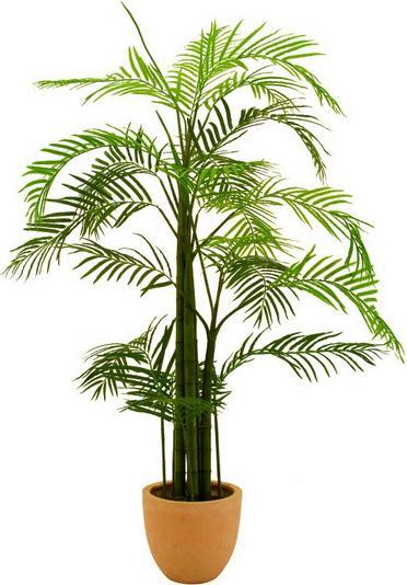 Produktbild Europalms Areca Palme (110 cm)
