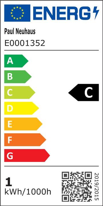 Etichetta energetica Paul Neuhaus Carlo (720 lm)