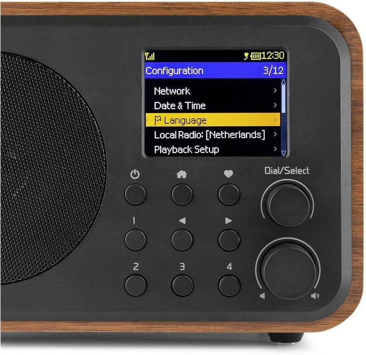 Actual product image Audizio Vicenza (DAB+, FM, Web radio, Bluetooth, Wi-Fi)