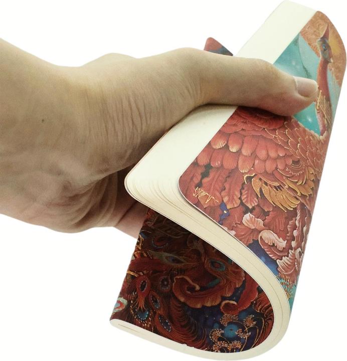 Actual product image Paperblanks Notizheft A5 Feuervogel (A5, Plain, Soft cover)