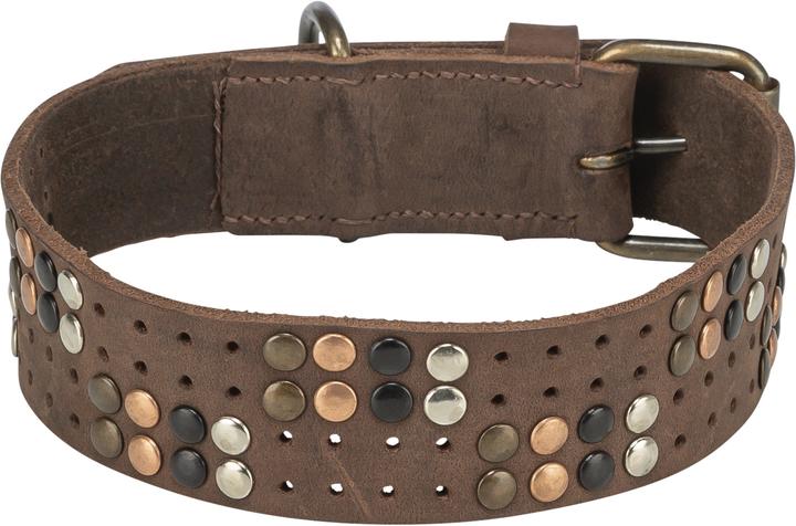 Actual product image Trixie Rustic fatleather collar Rivet, M:38–47cm/40mm, dark brown (M)