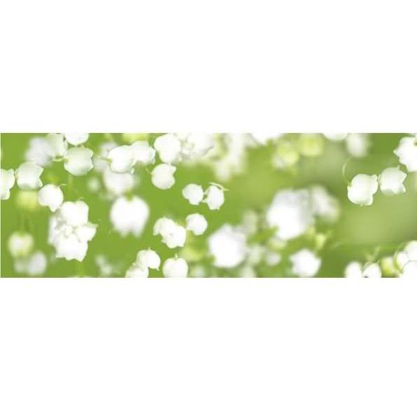 Ursus, Bastelpapier, Transparentpapier 115g/qm A4 VE=25 Blatt Flora Maiglöckchen (115 g/m², 1 x)
