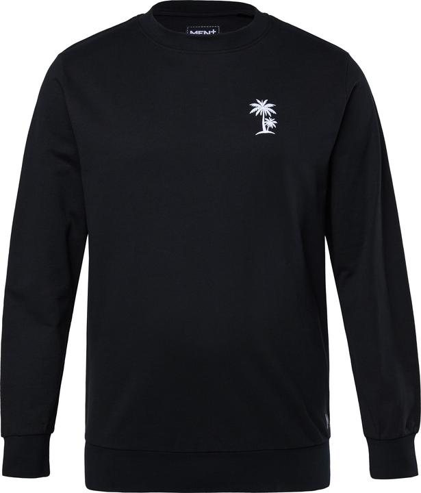 Produktbild Men+ Sweatshirt, Palmen-Stick (5XL)
